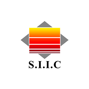 list item image